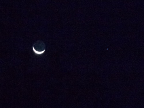 moon and regulus cropped.jpg